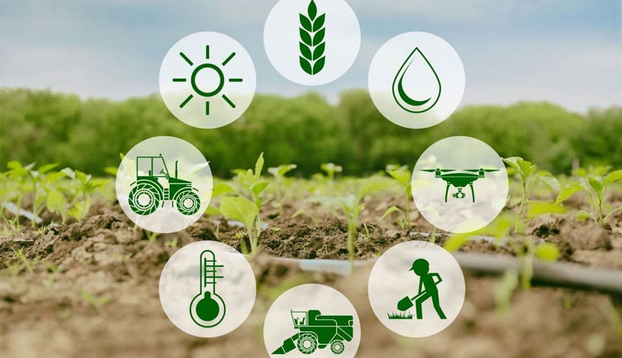 Our impact goes beyond rice