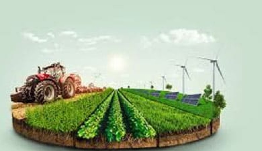 Our impact goes beyond rice
